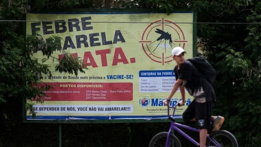 Brazil declares yellow fever emergency in Minas Gerais