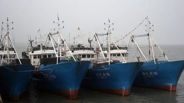 China helps Angola develop fisheries and sea sector –