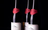 Vulcanic Terroir Wines from Pico Island, Azores on