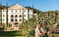 Brazil wineries to visit - Serra Gaúcha