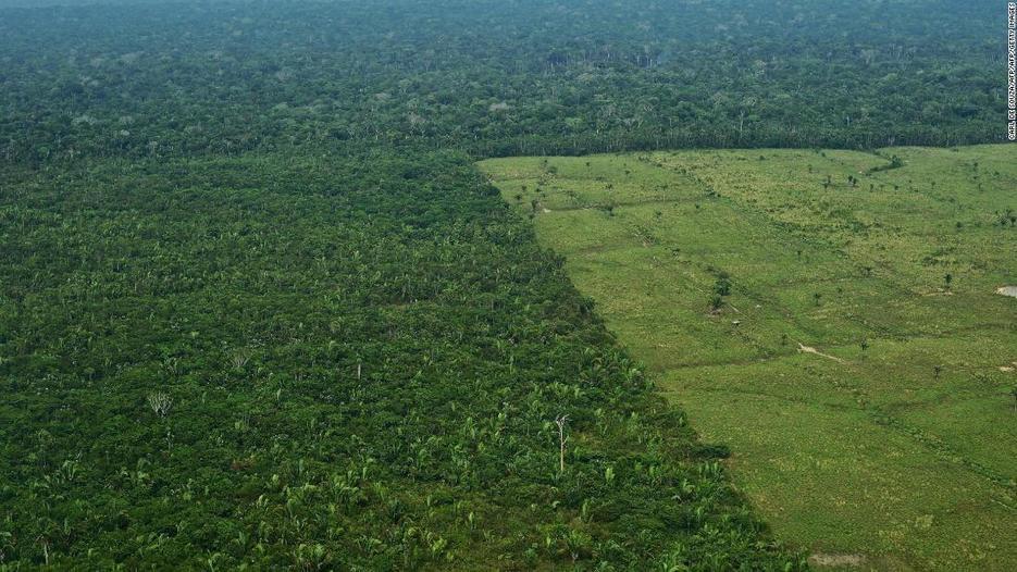 Amazon destruction accelerates 60% to one and a half soccer fields every minute -