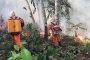 Amazon fires: Bolsonaro deploys troops -