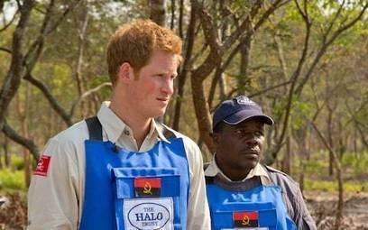 Prince Harry to woo Angola into becoming first new Commonwealth member in a decade during Africa tour -