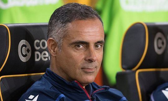 Reading sack manager Jose Gomes with club languishing in relegation zone | Daily -