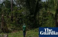 'War for survival': Brazil’s Amazon tribes despair as land raids surge under Bolsonaro | World news | The Guardian -