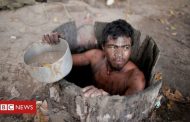 Brazil: Amazon land defender killed by illegal loggers -