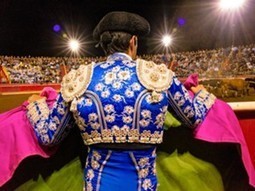 Bull by the tail - Bloodless Portuguese Bullfights - 