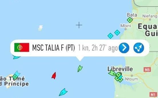 Pirates Abduct Seven Crew Members From Portuguese-flagged Container Ship MSC TALIA F In Gulf of Guinea -
