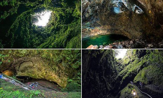 Inside the Algar do Carvão the volcanic Azores cave that harbours a lake and lush vegetation | 