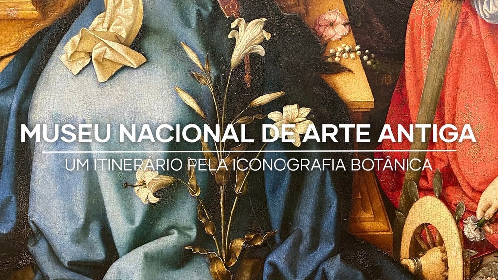The Museu Nacional de Arte Antiga invites us to look at art in a new light – Lisboa Green Capital 2020 -