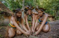 Tourist ban leaves Brazil's indigenous lands vulnerable to loggers -
