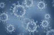 Coronavirus variant detected in Portugal's Madeira in travellers from Britain | Health -