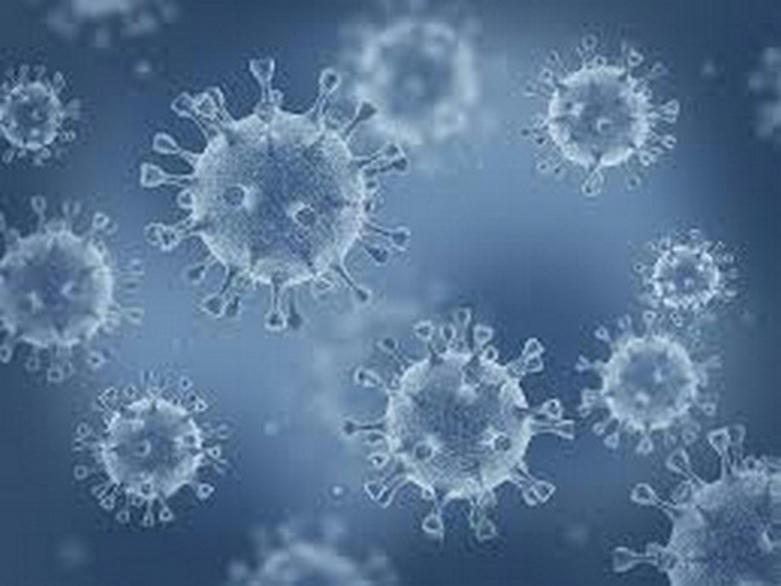 Coronavirus variant detected in Portugal's Madeira in travellers from Britain | Health -