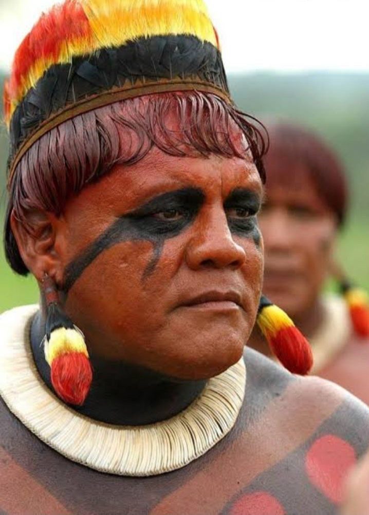 The race to save an Indigenous Brazilian language from extinction |