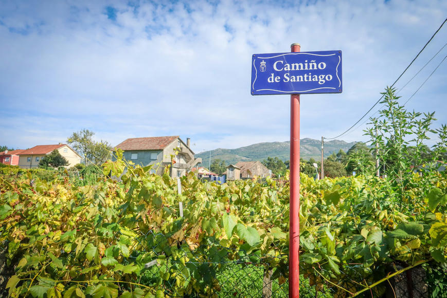 Portuguese Camino Day 10: Homemade Vino de la Casa