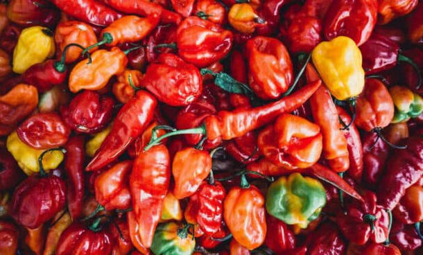Has our tolerance for chillies changed over the decades?