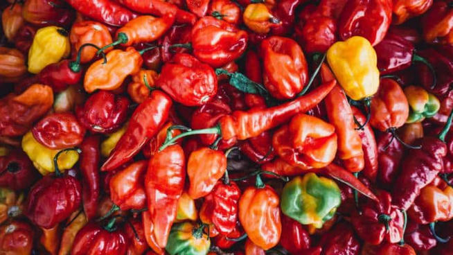 Has our tolerance for chillies changed over the decades?