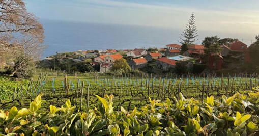 Going to ground: Embracing the agritourism life in Madeira